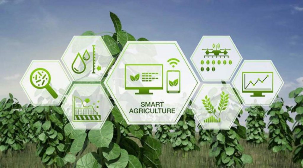 ciel blog – future of work in agriculture