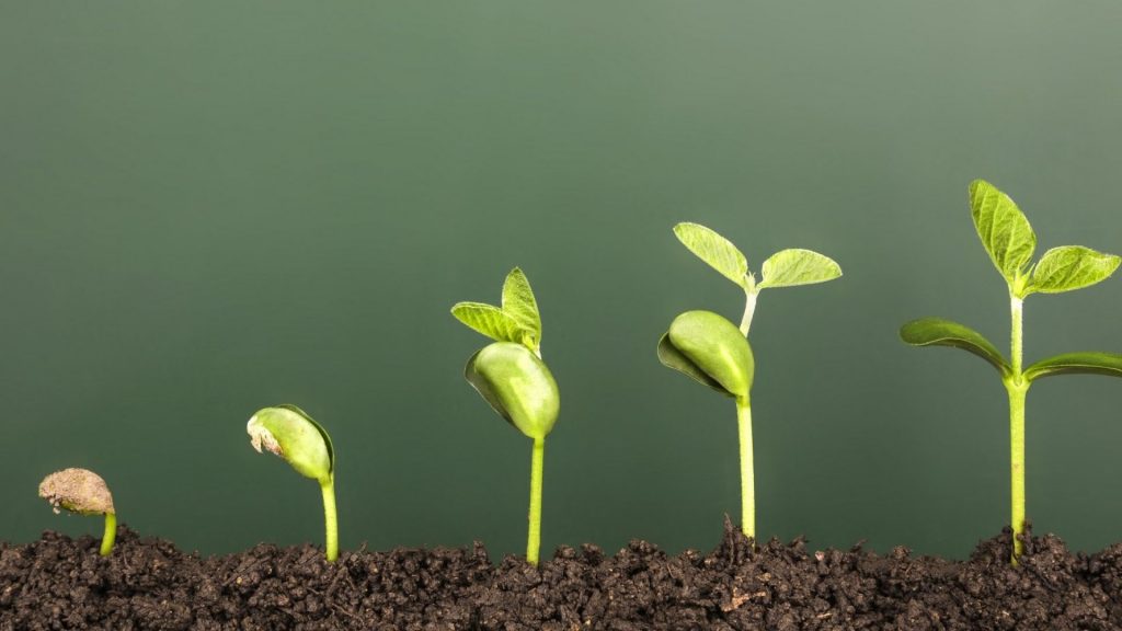 ciel blog growth and expansion