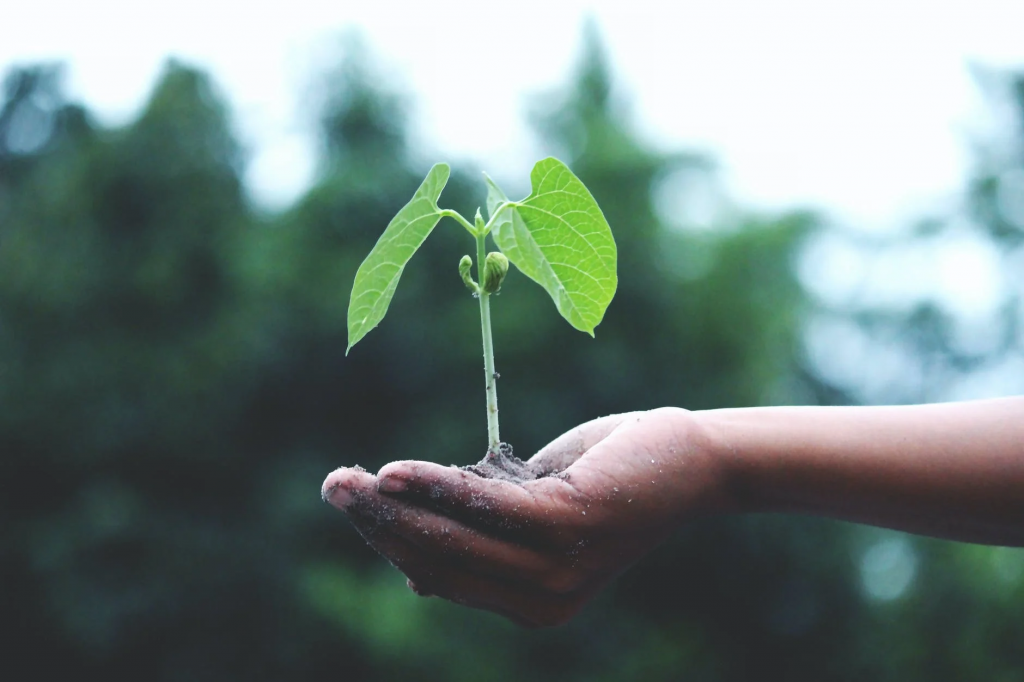 What Is Corporate Sustainability And How Companies Can Reach Net-Zero What Is Corporate Sustainability And How Companies Can Reach Net-Zero